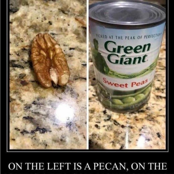 The Pecan Cookbook - Picture 3 of 10